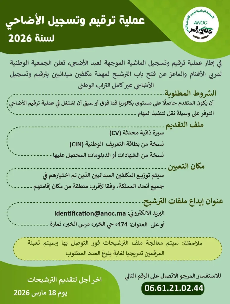 عملية ترقيم وتسجيل الأضاحي 2026 بالمغرب: فرصة عمل ميدانية عبر الجمعية الوطنية لمربي الأغنام عملية ترقيم وتسجيل الأضاحي 2026 بالمغرب